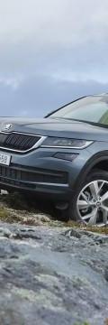 SKODA Modell
  Kodiaq  Wartungsvorschriften, Schwachstellen im Werk
